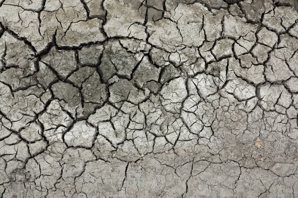 Gedroogde grond — Stockfoto