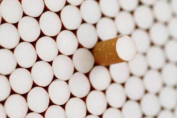 Filtra le sigarette — Foto Stock