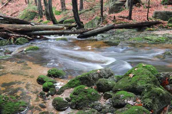 Potok Jesiennym Lesie Jedlova Creek Góry Izerskie — Zdjęcie stockowe