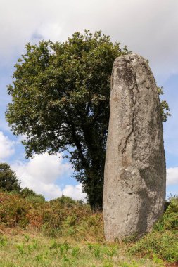Kergornec 'li Menhir - Saint-Gilles-Pligeaux köyü yakınlarındaki megalitik anıt, Cotes-d' Armor, Brittany, Fransa