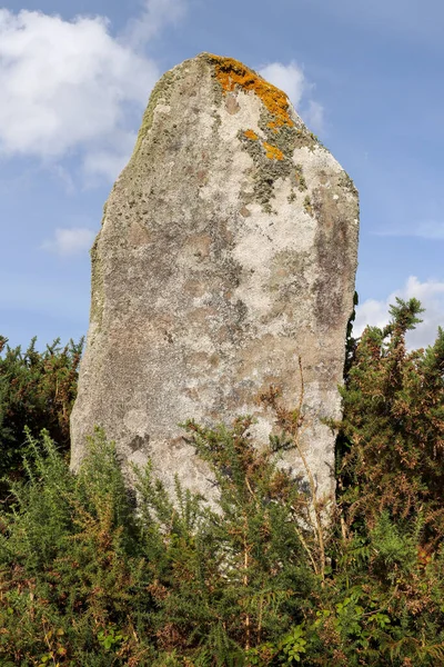 Menhir Couinandre Plouescat Bretagne France — Photo