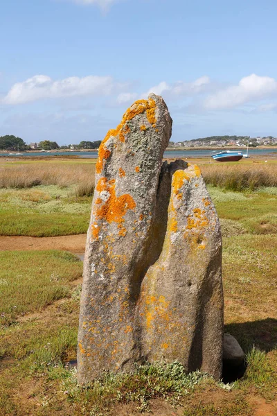 Menhir Toeno Мегалитический Памятник Одинокий Менгир Побережье Требердена Бретани Франция — стоковое фото