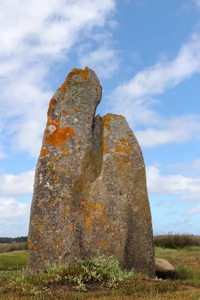 Menhir Toeno Megalitiskt Monument Ensam Menhir Vid Kusten Trebeurden Bretagne — Stockfoto