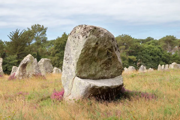 Menhirs Alignements Kerlescan Raining Stone Worlds Largest Metic Site Carnac — 스톡 사진