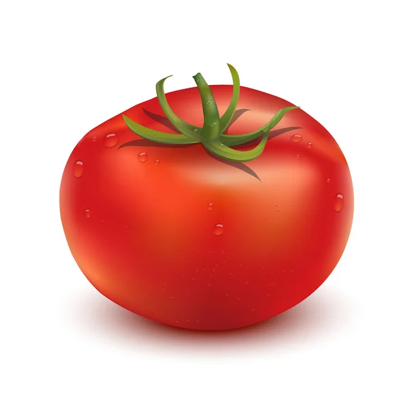 고립 된 토마토 — 스톡 벡터