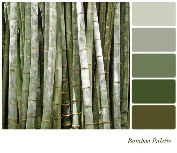 Paleta de bambu — Fotografia de Stock