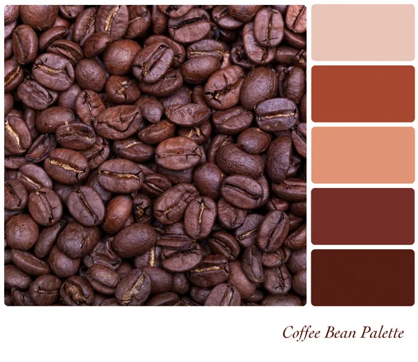 Kaffe bean palett — Stockfoto