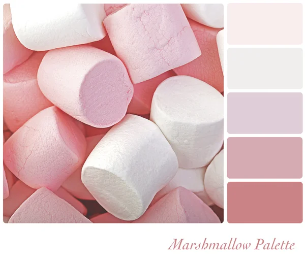 Paleta de marshmallow — Fotografia de Stock