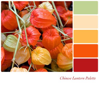 Chinese Lantern palette clipart