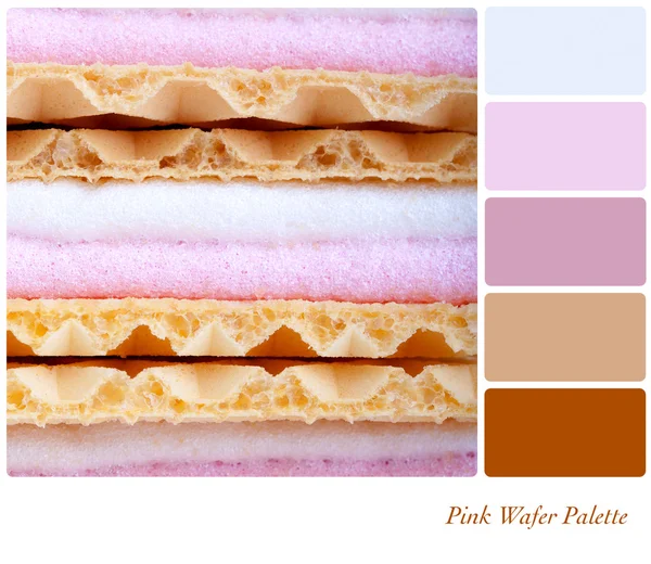 Paleta de wafer rosa — Fotografia de Stock