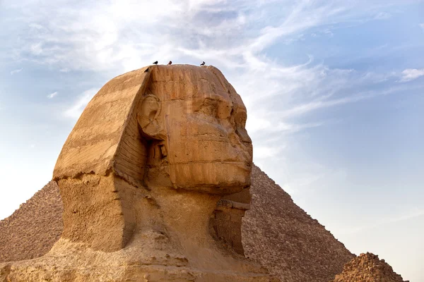 Sphinx, Ägypten — Stockfoto