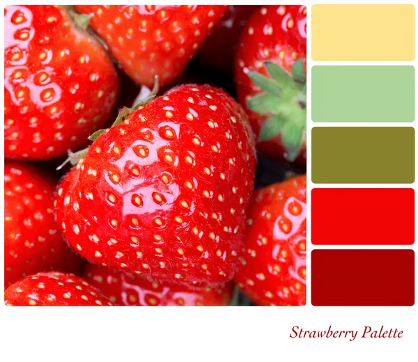 Erdbeerpalette — Stockfoto