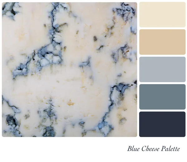 Blue Cheese Palette — Stock Photo, Image