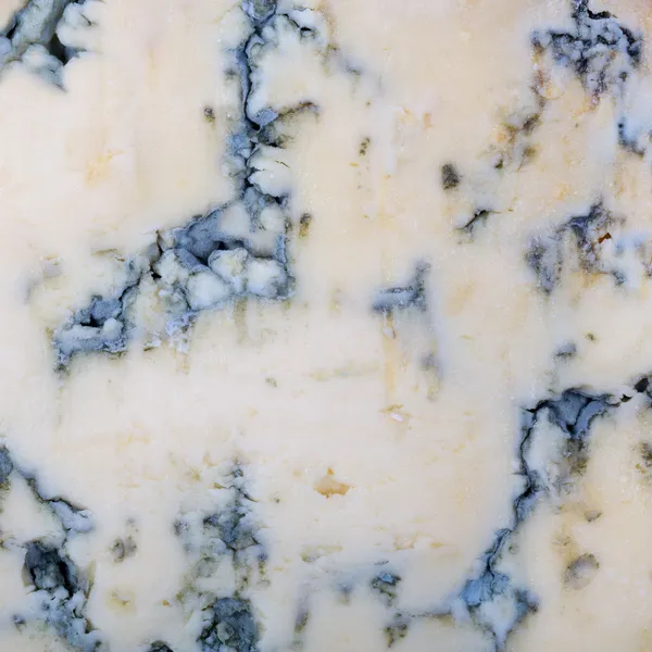 Blue cheese background — Stock Photo, Image