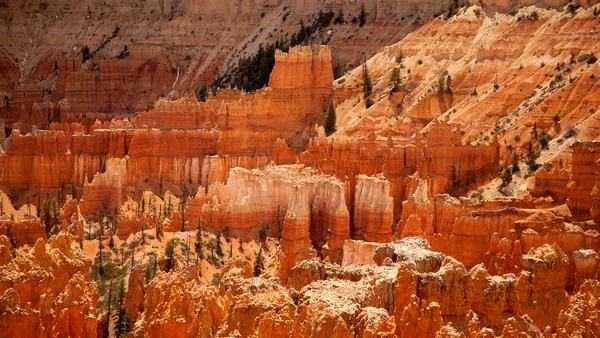 Paysage du canyon Bryce — Photo