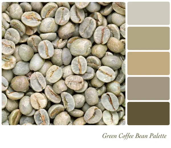 绿咖啡豆调色板 — 图库照片