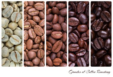 Grades of coffee roasting clipart