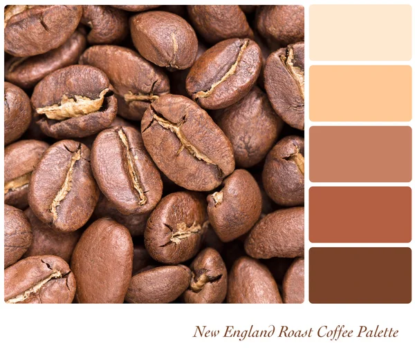 ニュー イングランドのロースト コーヒー パレット — ストック写真