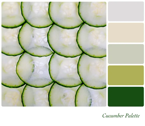 Palette de concombre — Photo