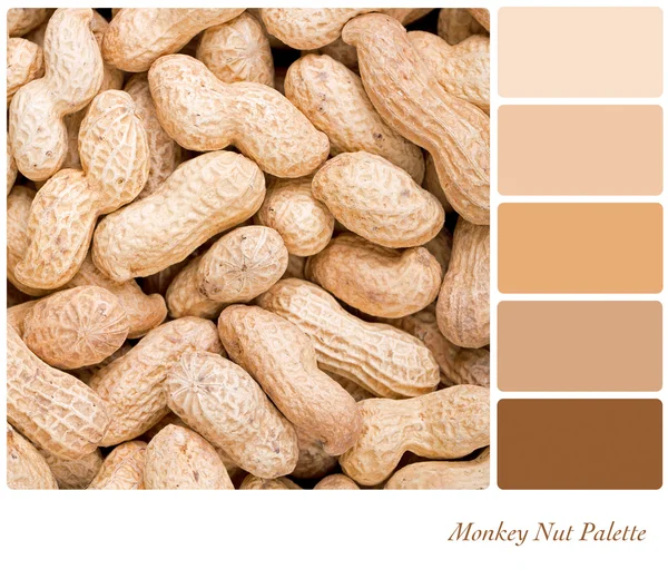 Monkey nut palet — Stockfoto