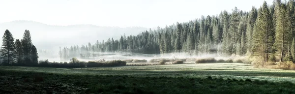 Mañana brumosa en Yosemite — Foto de Stock