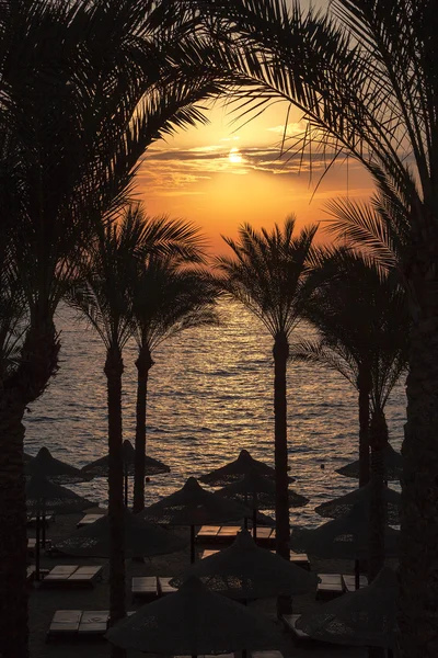 Egypte zonsopgang — Stockfoto