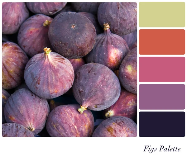 Figs palette — Stock Photo, Image