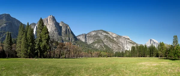 Yosemite Meadow panorama — Stock Photo, Image