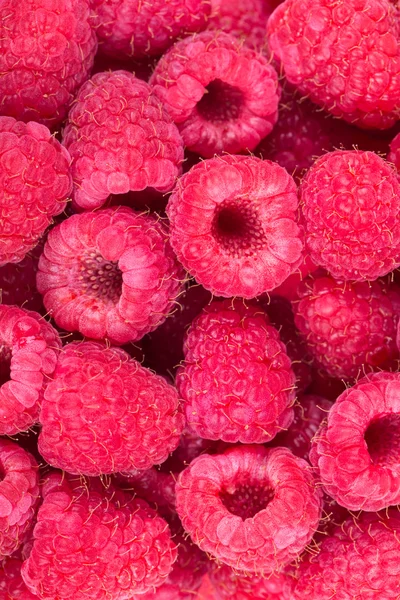 Himbeeren — Stockfoto