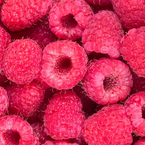 Himbeeren — Stockfoto