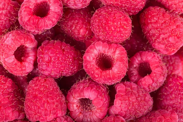 Himbeeren — Stockfoto