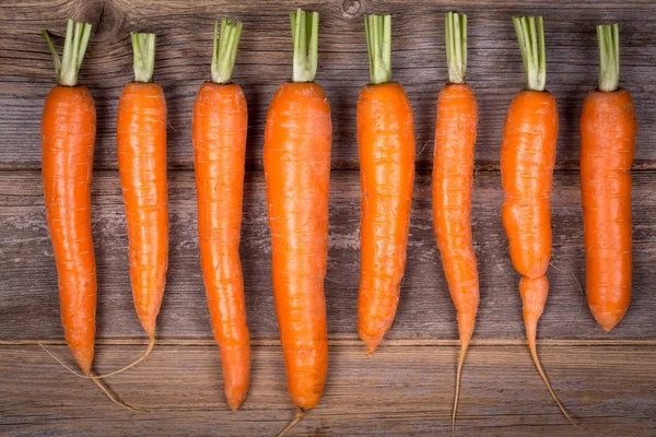 Trimmed carrots in a row — Stock Photo, Image