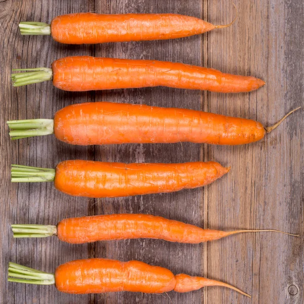 Zanahorias recortadas en fila — Foto de Stock