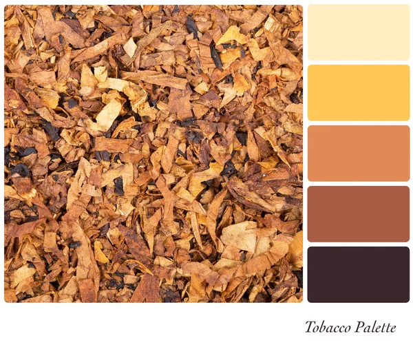 Tabakpalette — Stockfoto