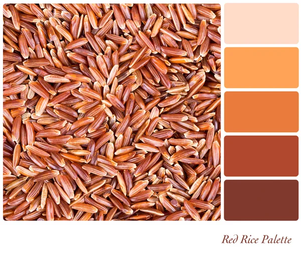 Paleta de arroz rojo — Foto de Stock