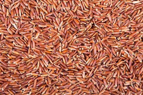 Red rice background — Stock Photo, Image