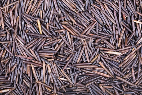 Wild rice background — Stock Photo, Image