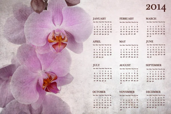 2014 için vintage orkide takvim — Stok fotoğraf