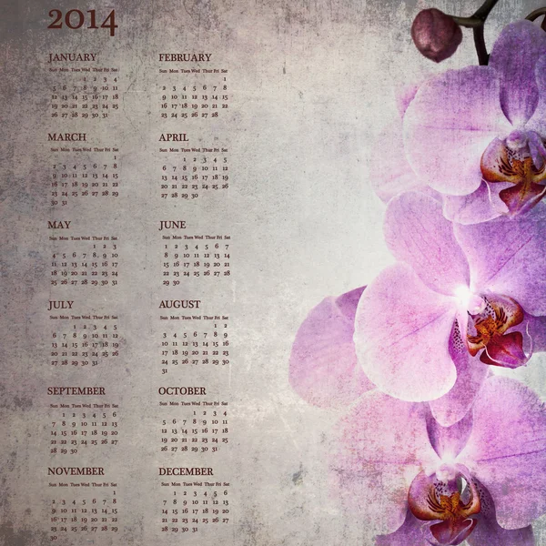 Calendário de orquídeas vintage para 2014 — Fotografia de Stock