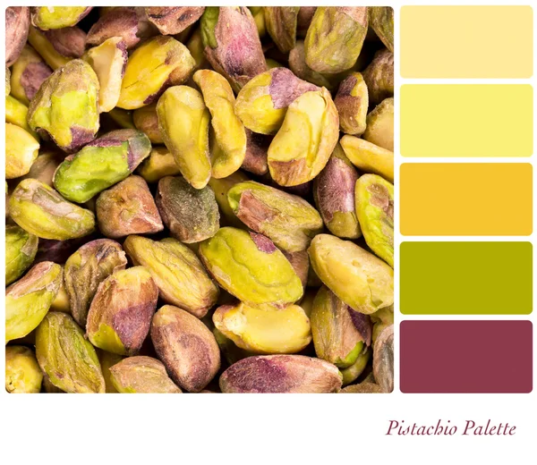 Pistazienpalette — Stockfoto