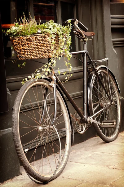 Vintage bicycle — Stock Photo, Image