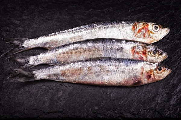 Sardines high contrast — Stock Photo, Image