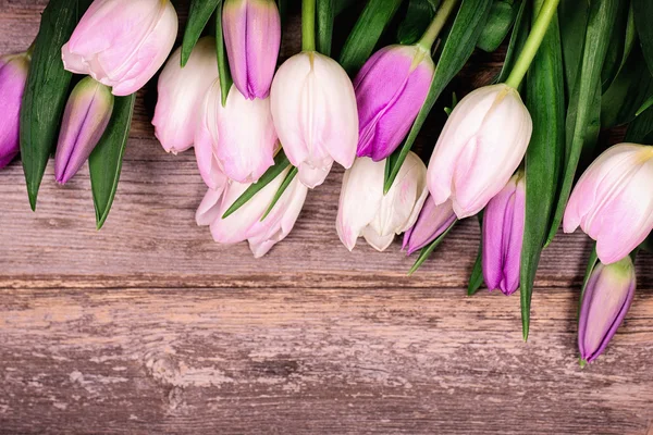 Tulipas sobre madeira velha — Fotografia de Stock