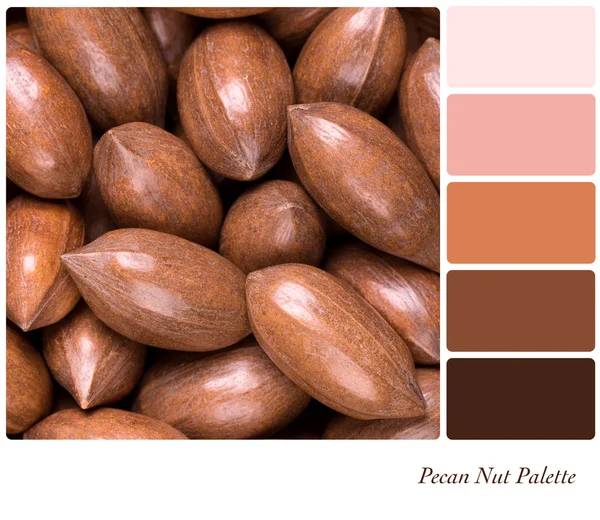 Pecan nut palett — Stockfoto