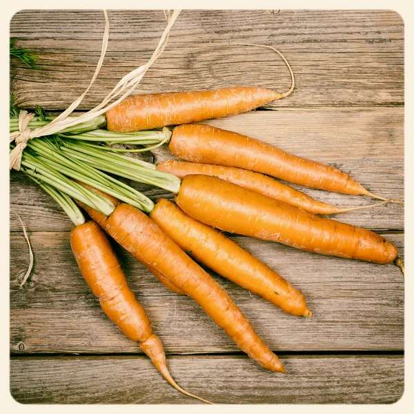 Ramo de zanahorias — Foto de Stock