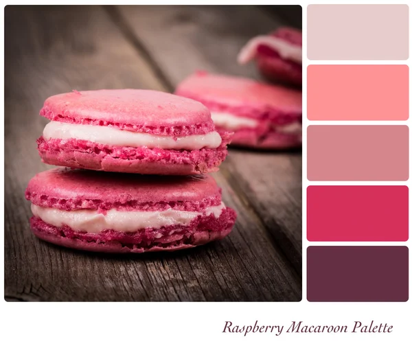 Raspberry macaroon palet — Stockfoto
