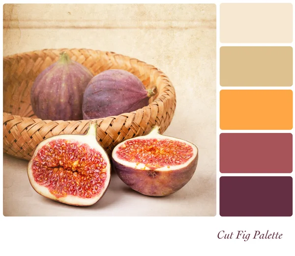 Cut Figs Palette — Stock Photo, Image
