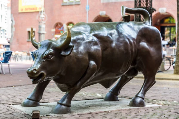 Amsterdam Niederlande Juli 2014 Bronze Charging Bull Statue Zentrum Von — Stockfoto