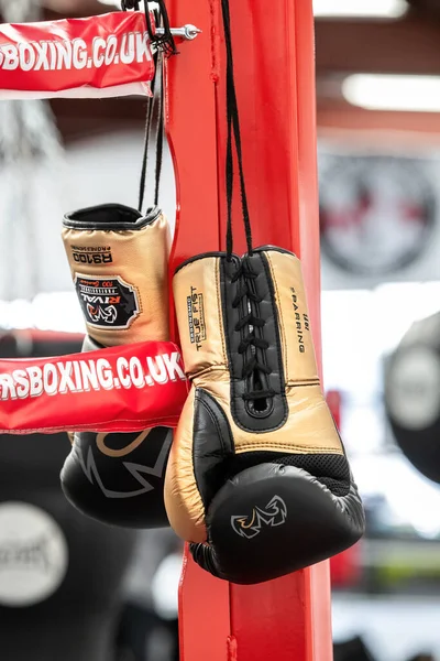 Southampton Серпня 2019 Чорні Золоті Професійні Боксерські Рукавички Звисають Кутку — стокове фото