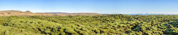 Panorama Över Ett Mossbelagt Vulkaniskt Lavafält Eldhraun Södra Island Den — Stockfoto